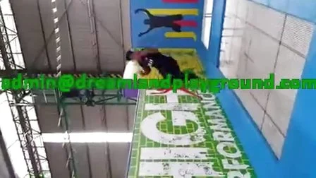 Indoor Playground Fitness Exercise Jumping Park Equipment Customized Commercial Trampoline