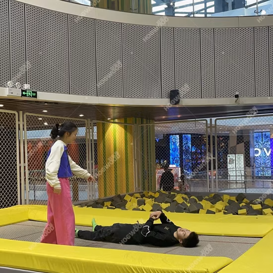 Professional Factory Manufacturer High Quality Indoor Playground Amusement Park Jumping Trampoline